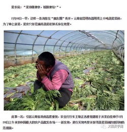 農(nóng)產(chǎn)品滯銷(xiāo),農(nóng)業(yè)發(fā)展路在何方