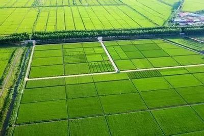 從國家農業綜合開發辦2018年工作要點看農業的幾大商機