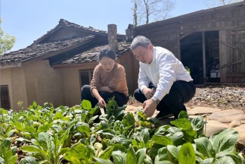 福建省農科院攜手鄉愁沈丹共建綠色優質農產品聯合開發中心 科技賦能助力綠色產業發展