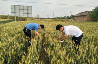 陜西省農業機械化發展中心信息網