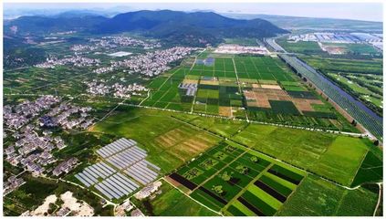 總面積8.5萬畝!海寧農業(yè)經濟開發(fā)區(qū)成立!