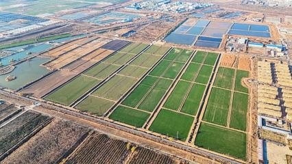 墾利經濟開發(fā)區(qū)、興隆街道:聚焦民生福祉 繪就幸福生活新圖景