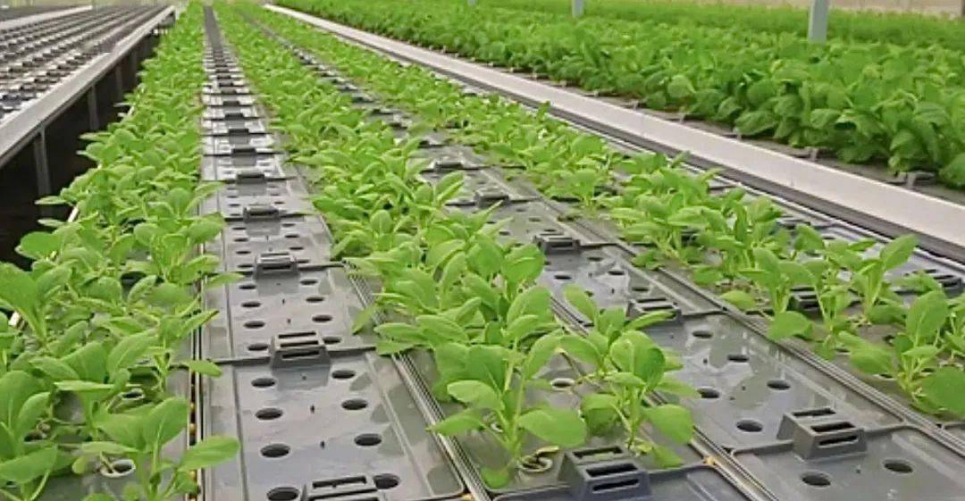 沭陽成功創(chuàng)建節(jié)水型社會建設達標縣