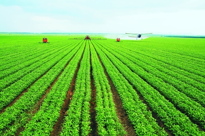 綏化釋放優勢潛力譜寫振興新篇章 綠色發展產業勃興