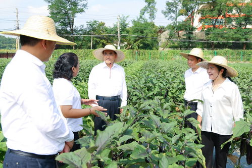 徐麟到省農業科學院調研 馬漢成參加