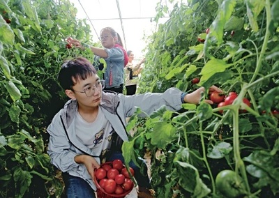 &ldquo;農業+旅游