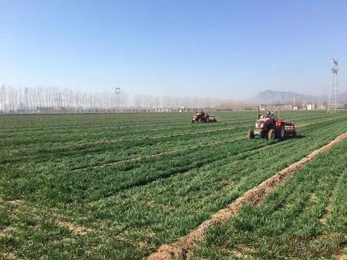 政策 支持新型肥料產品研發 院士 數字鄉村建設發展不平衡