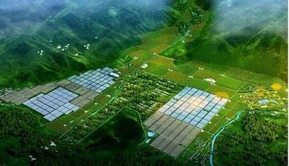 現(xiàn)代農(nóng)業(yè)產(chǎn)業(yè)園開發(fā)模式及五大運(yùn)營(yíng)模式!