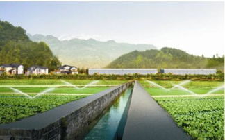生態(tài)農(nóng)業(yè)成發(fā)展趨勢(shì)，武漢龜谷公司專業(yè)規(guī)劃服務(wù)受青睞