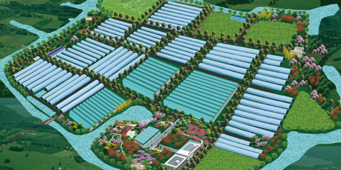 高端訪談 寧波海創(chuàng)科技園副總經(jīng)理單揚(yáng)勛談農(nóng)業(yè)開發(fā)創(chuàng)新之路