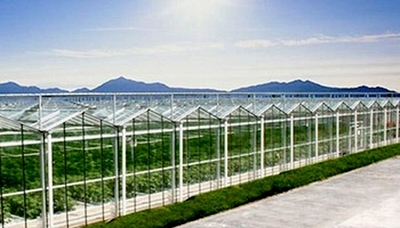 河南農(nóng)園農(nóng)業(yè)科技開發(fā)——推動(dòng)現(xiàn)代農(nóng)業(yè)發(fā)展的新引擎