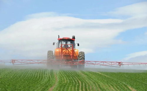 統(tǒng)籌推進(jìn)農(nóng)村疫情防控與農(nóng)業(yè)開發(fā) 保障農(nóng)產(chǎn)品供給安全