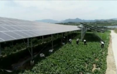 容益(海南)東方現(xiàn)代設施農(nóng)業(yè)產(chǎn)業(yè)園建設取得新進展