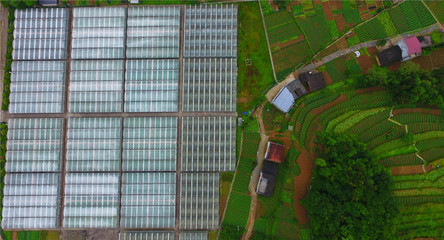 重慶巫溪 技術提升助力馬鈴薯產(chǎn)業(yè)發(fā)展，推動農(nóng)業(yè)創(chuàng)新開發(fā)