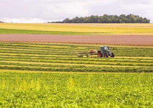 農業部發文推進農業開發，五大領域將獲政策紅利