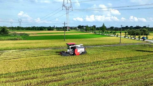 構建343現代農業發展新格局，加快推進鄉村振興高質量發展