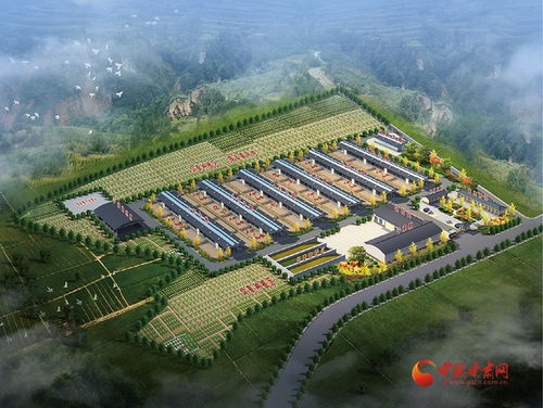 涇川加快培育新質生產力，激活農業產業發展新動能