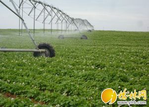 農(nóng)機補貼精準落地，我市現(xiàn)代農(nóng)業(yè)發(fā)展注入新動能